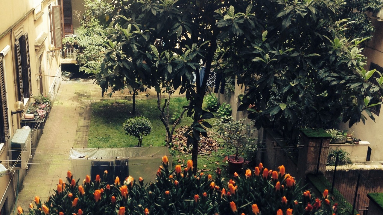 Photo of Outdoor in Vatican