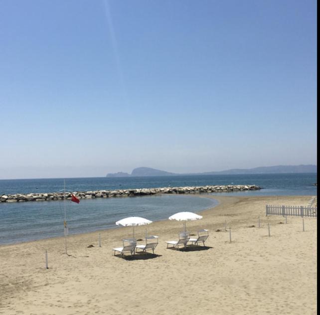 Photo of Others in Trivio