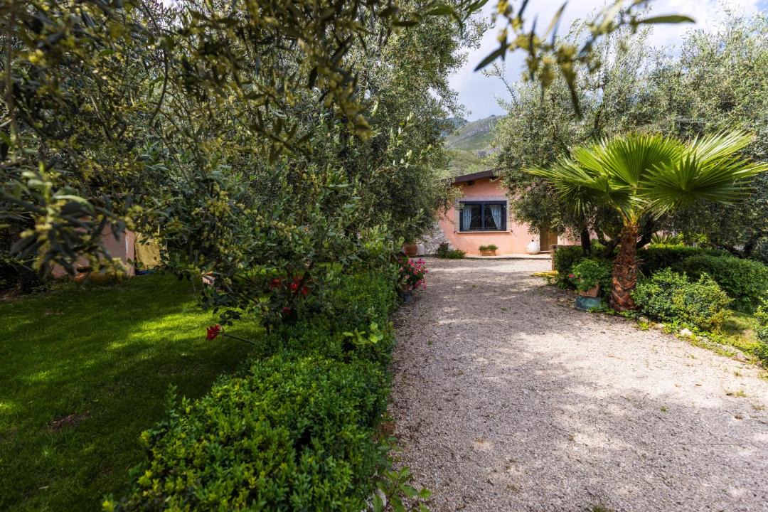Photo of Others in Trivio