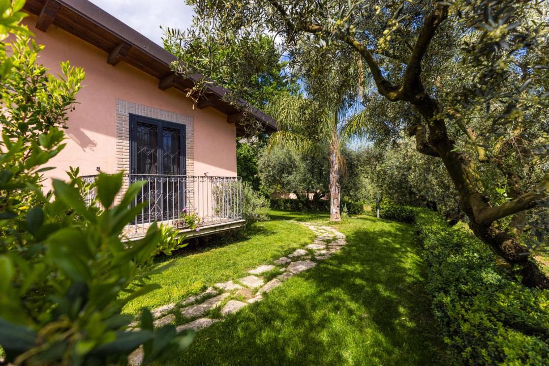 Photo of Others in Trivio