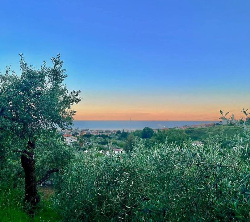 Photo of Others in Formia