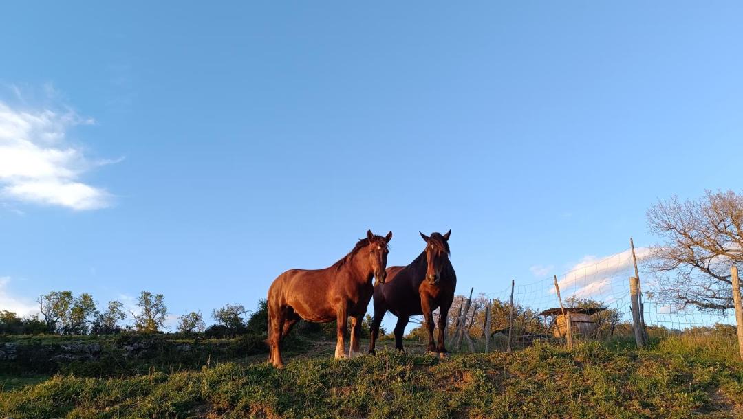Photo of Others in Radda in Chianti