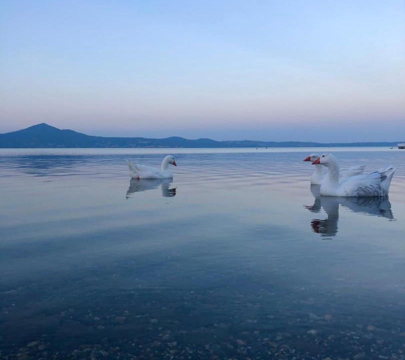 Photo of Others in Lungolago