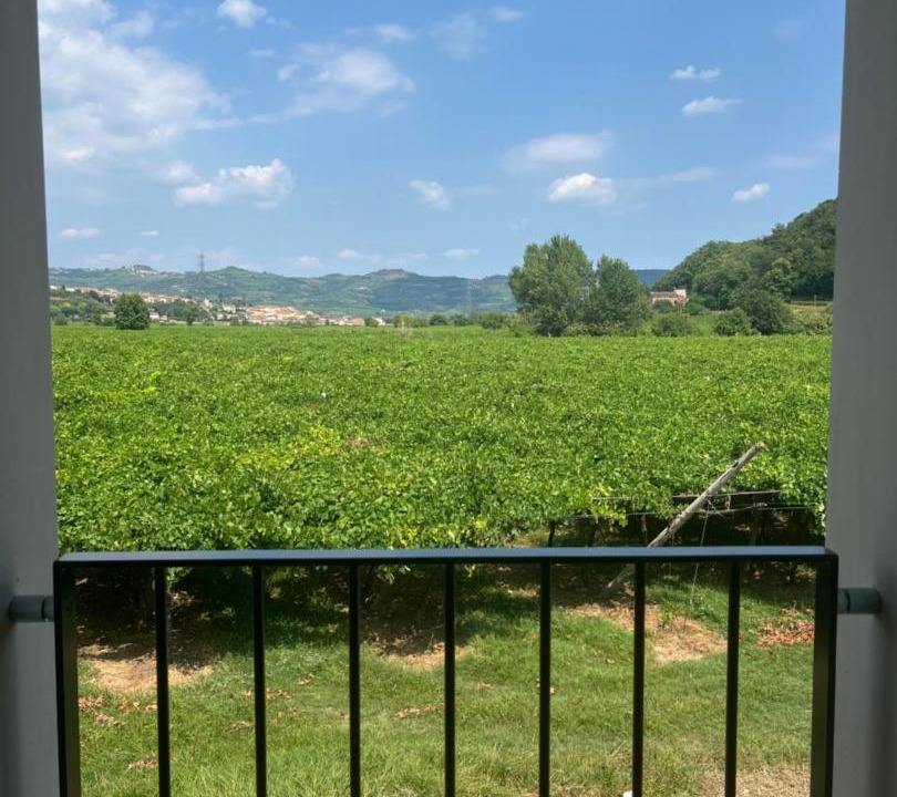 Photo of Others in Colognola ai Colli