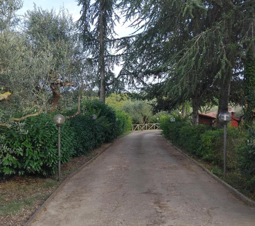 Photo of Others in Soriano nel Cimino