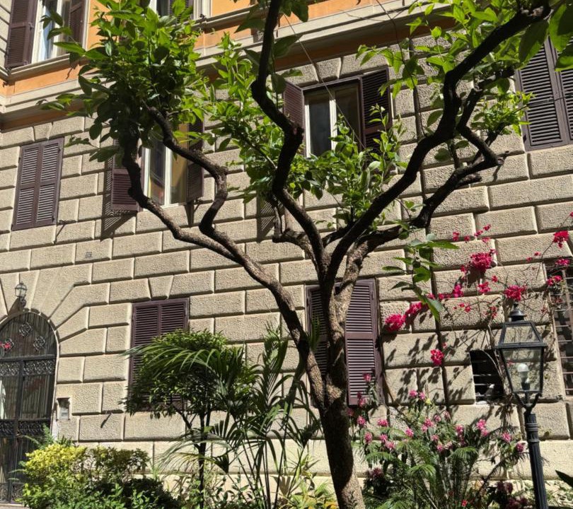 Photo of Others in Esquilino