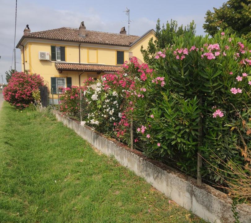Photo of Others in Casteggio
