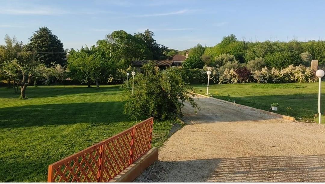 Photo of Others in Manziana