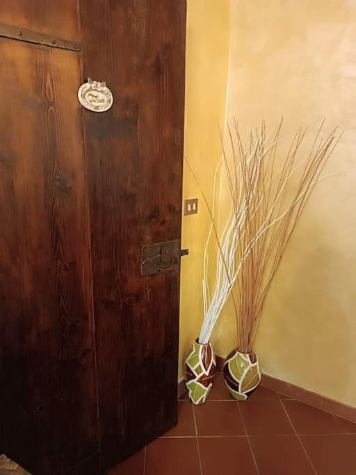 Photo of Others in Segni