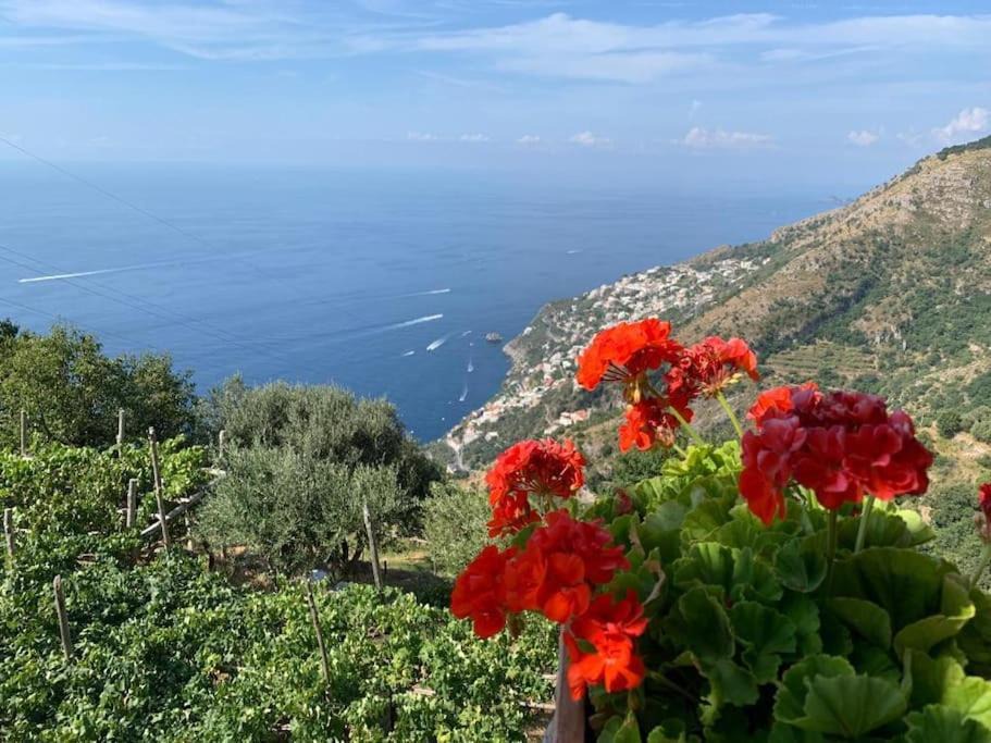Photo of Outdoor in San Michele