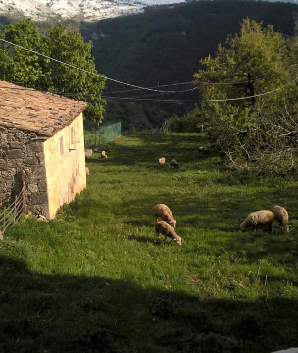 Photo of Others in Caramanico Terme