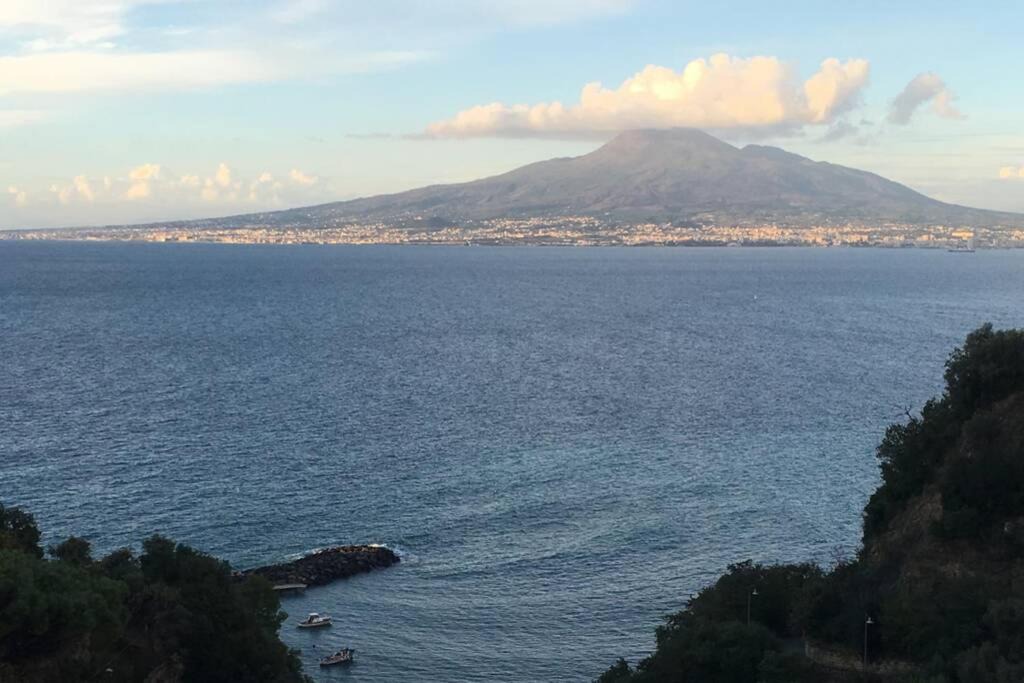 Photo of Others in Sorrento City Centre