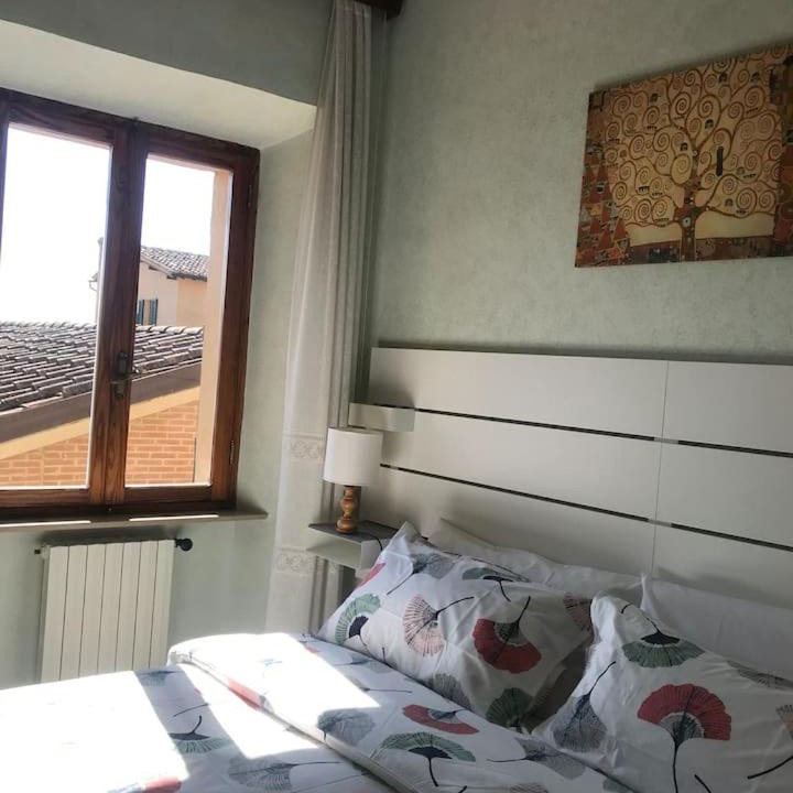 Photo of Others in Siena Historical Center