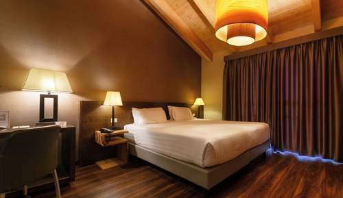 Economy Double Room Single Use, 1 King Bed