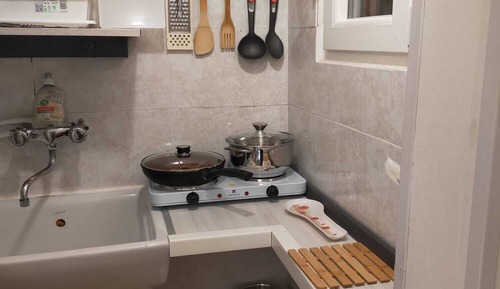 Business Double Room Single Use, Garden View
