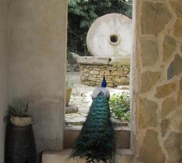 Valderice Bed & Breakfast | Candalù - Villa Giardinata