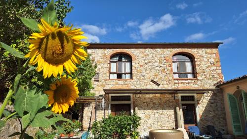 Ripafratta House | Il Fienile