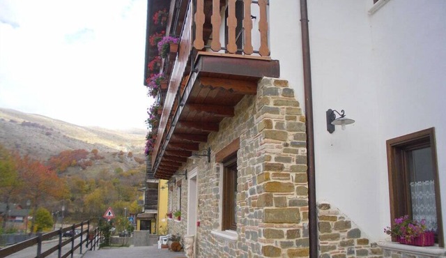 Ginepro d'Abruzzo