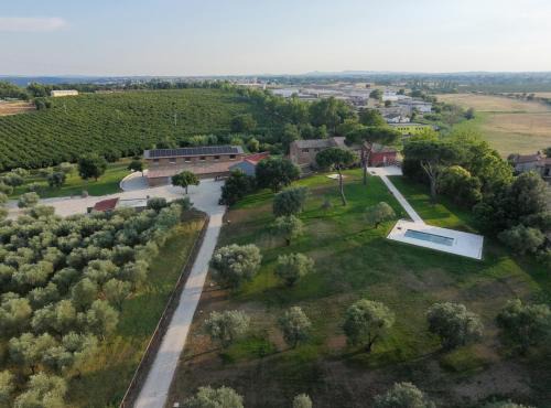 Tenuta Ciotti